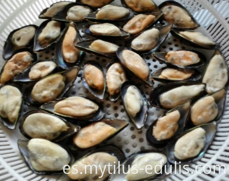 mejillones de media concha congelados venta caliente de sabor natural